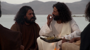 secret lives of the apostles frame